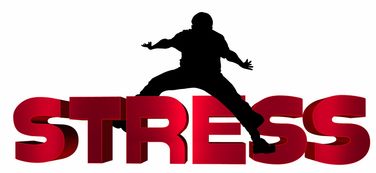 星空娱乐-NBA球员心理压力识别及干预技术研究，nba球员性格问题